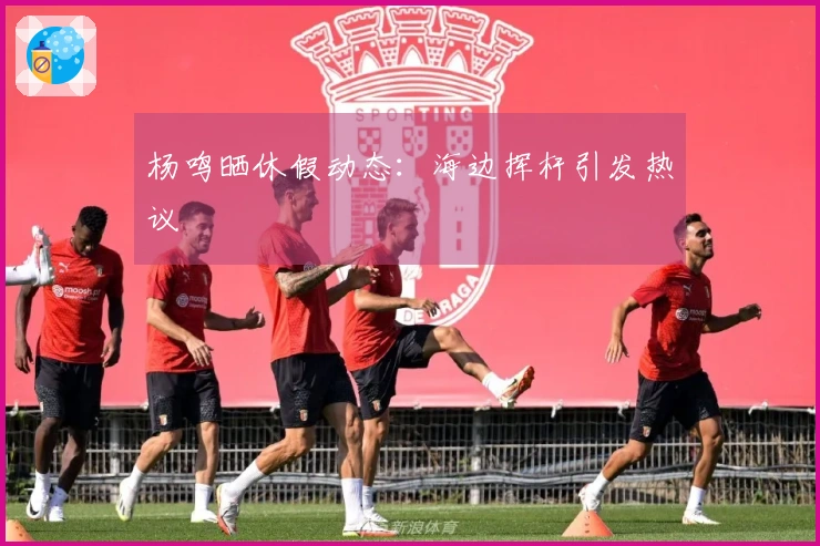 杨鸣晒休假动态：海边挥杆引发热议