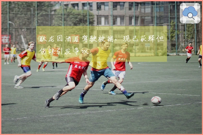 狄龙因酒后驾驶被捕，现已获释但伤缺引发争议