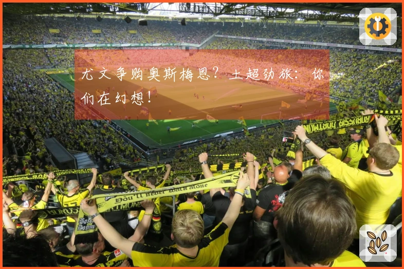 尤文争购奥斯梅恩？土超劲旅：你们在幻想！