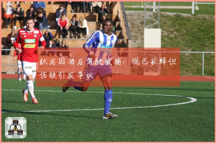 狄龙因酒后驾驶被捕，现已获释但伤缺引发争议